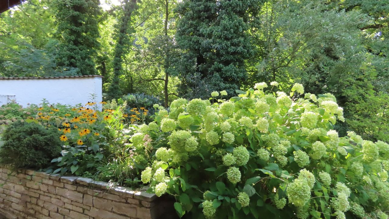 Garten Garten
